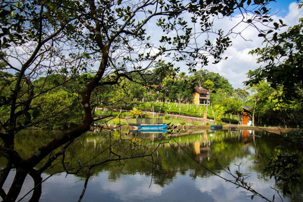 Lake Serenity Resort & Spa Kuruwita Extérieur photo